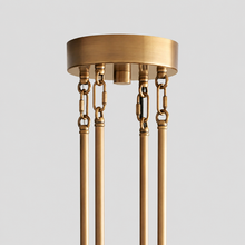 38" Delsie Fluted Round Glass Chandelier in Brass with Clear Glass, Canopy Detail